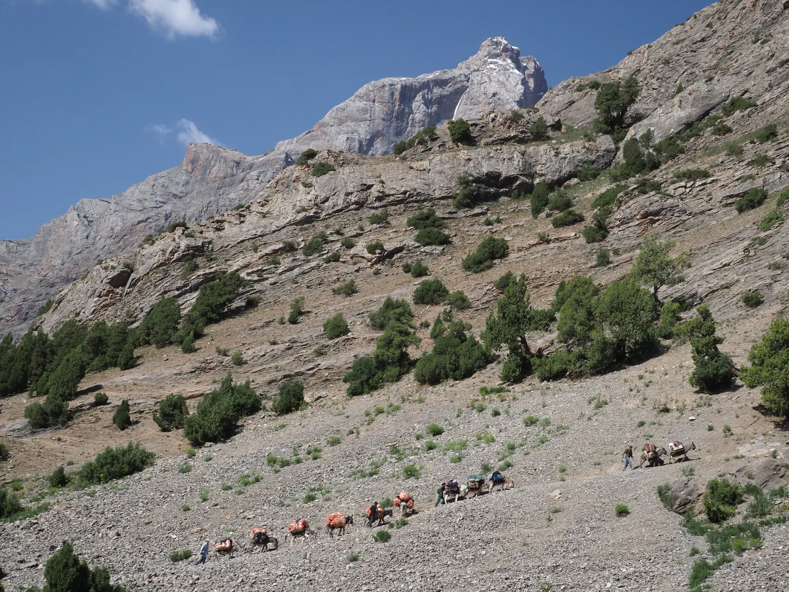 For the next day's move to Mutnye Lake, we were looking for a donkey to help with more than 50 kg of luggage.