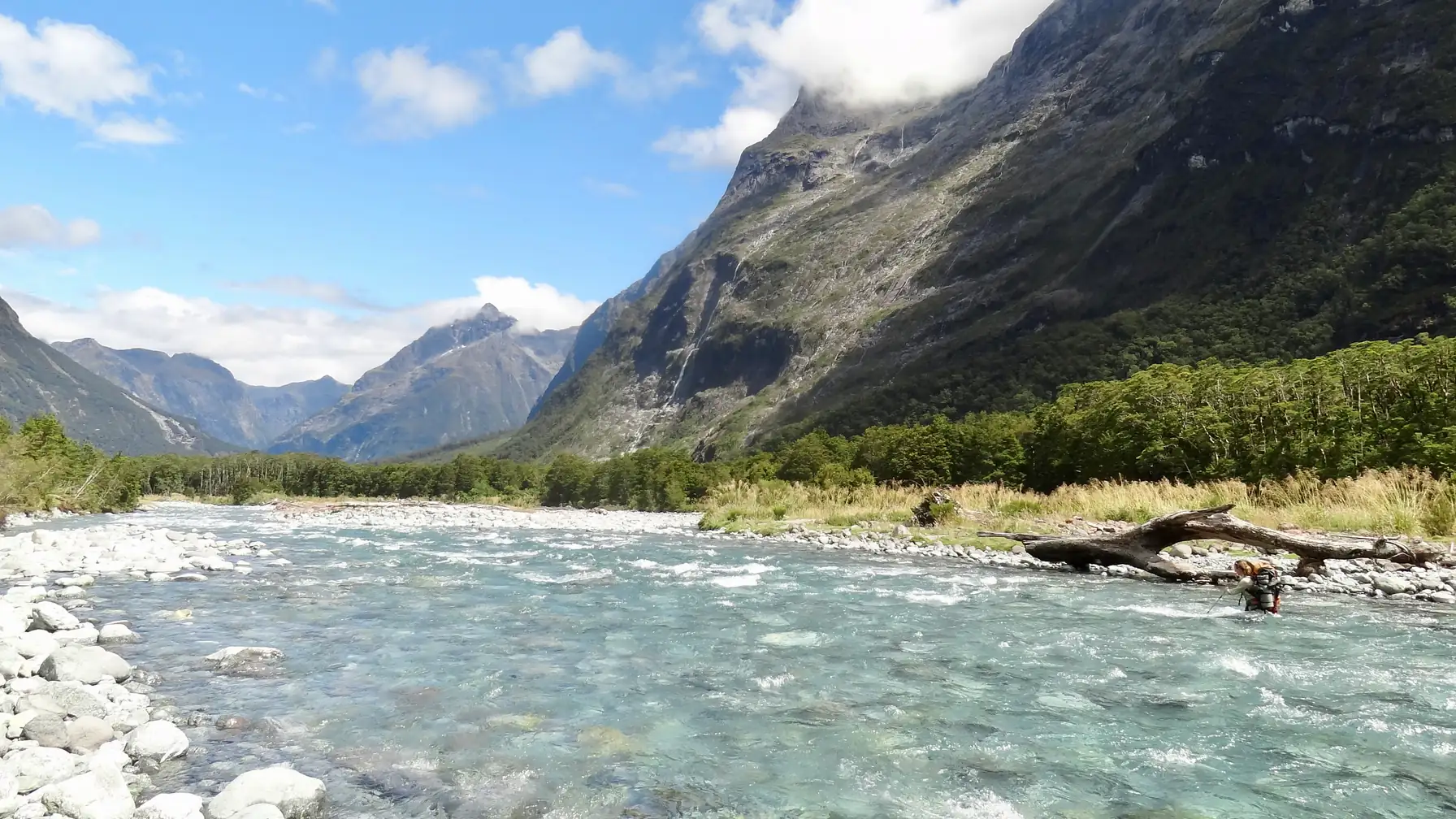 Joanna wading through waist-deep water in the main channel of the Tutoko River.