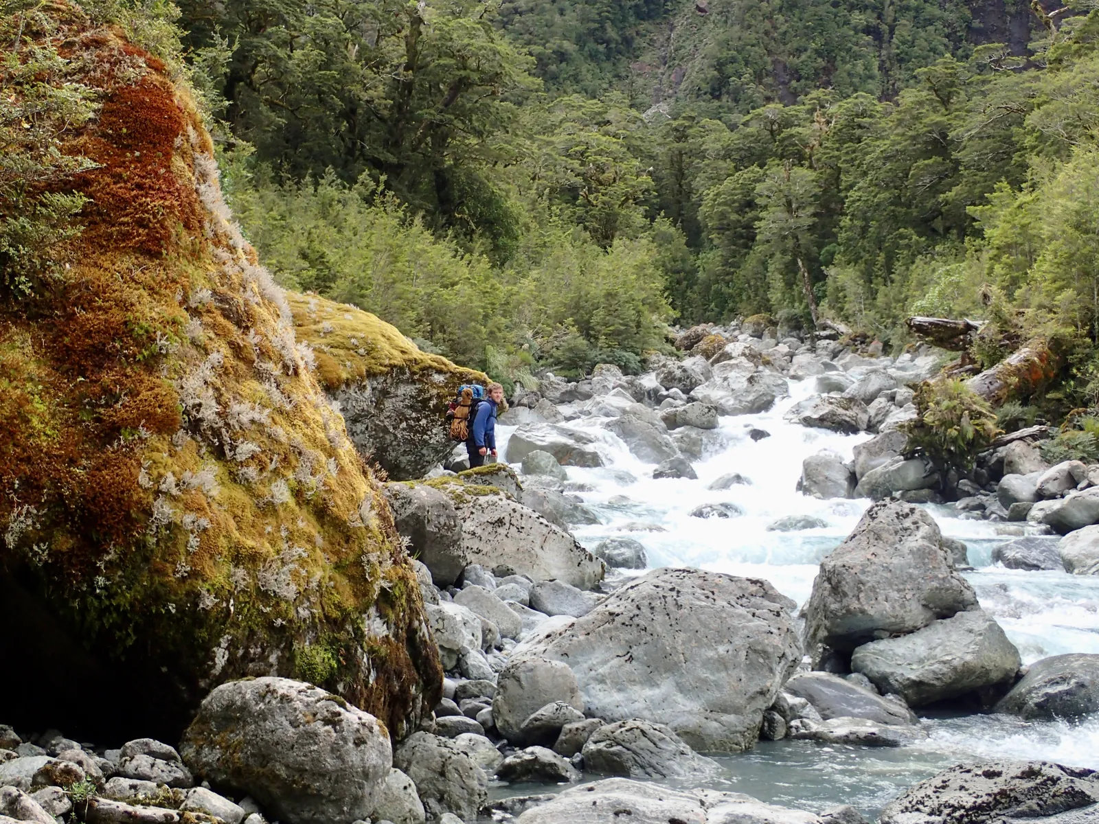 Willie walking along Leader Creek.