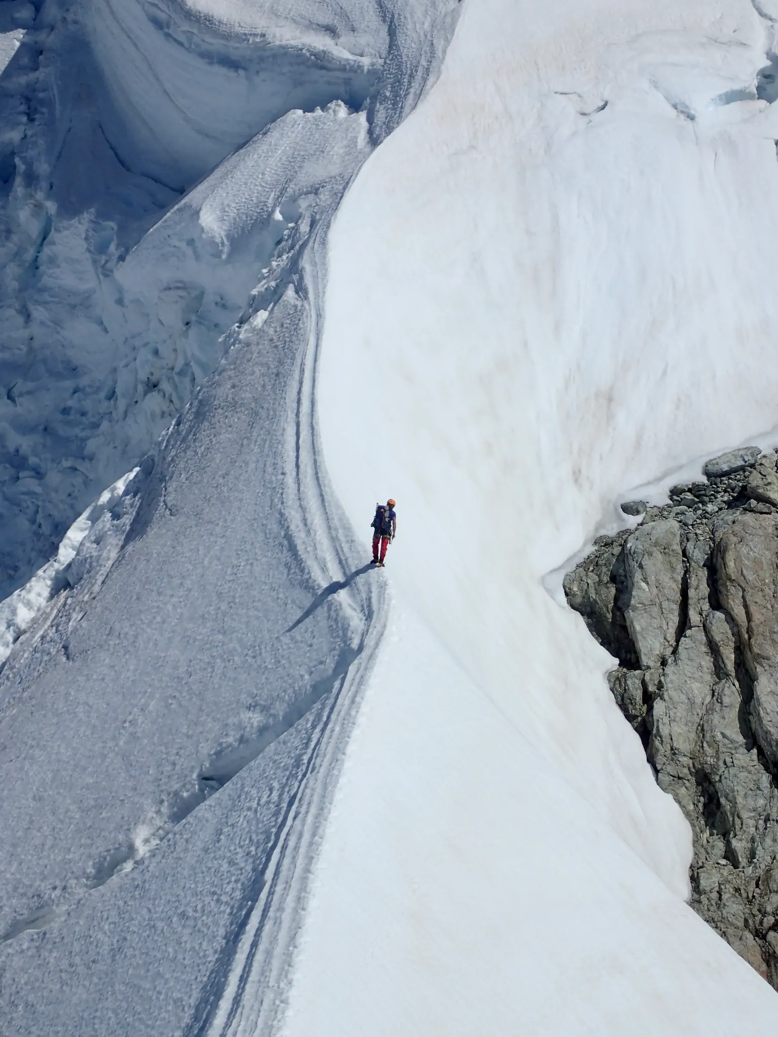 Close-up of Willie on Mount Tutoko's snowy ridge.